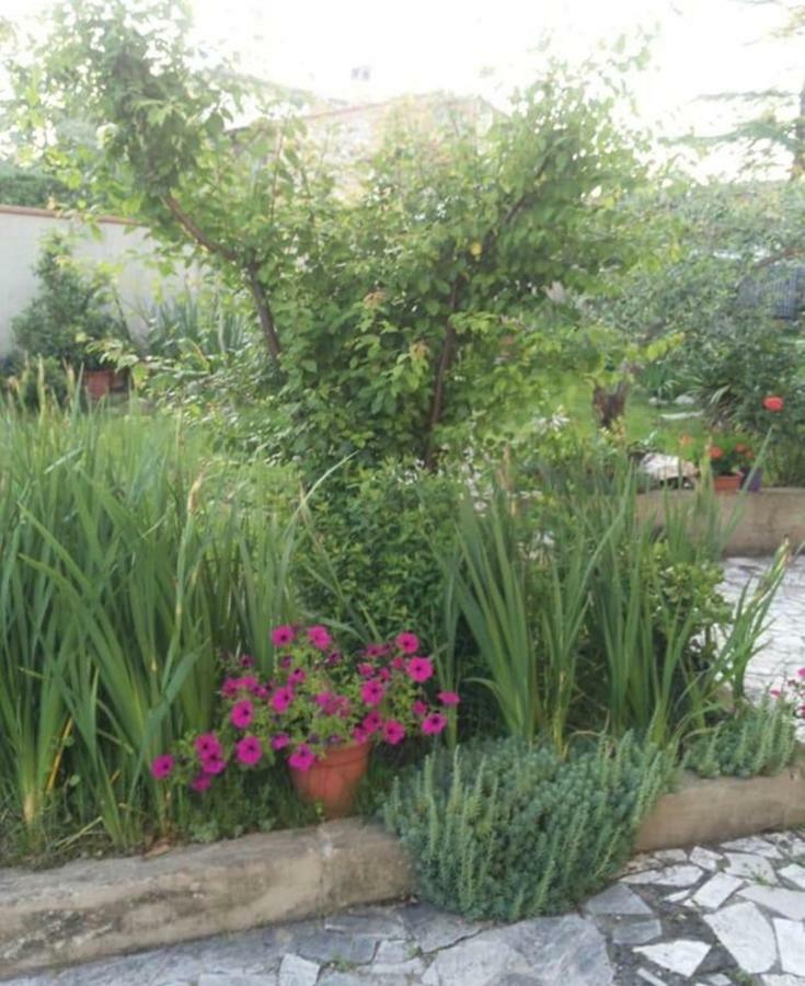 Ferienwohnung La Terrazza Del Silenzio Fattoria Spedaletto Exterior foto